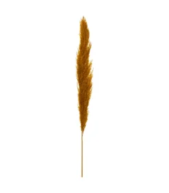 ATMOSPHERA - Set de 3 branches de pampa séchée ocre h 109 cm