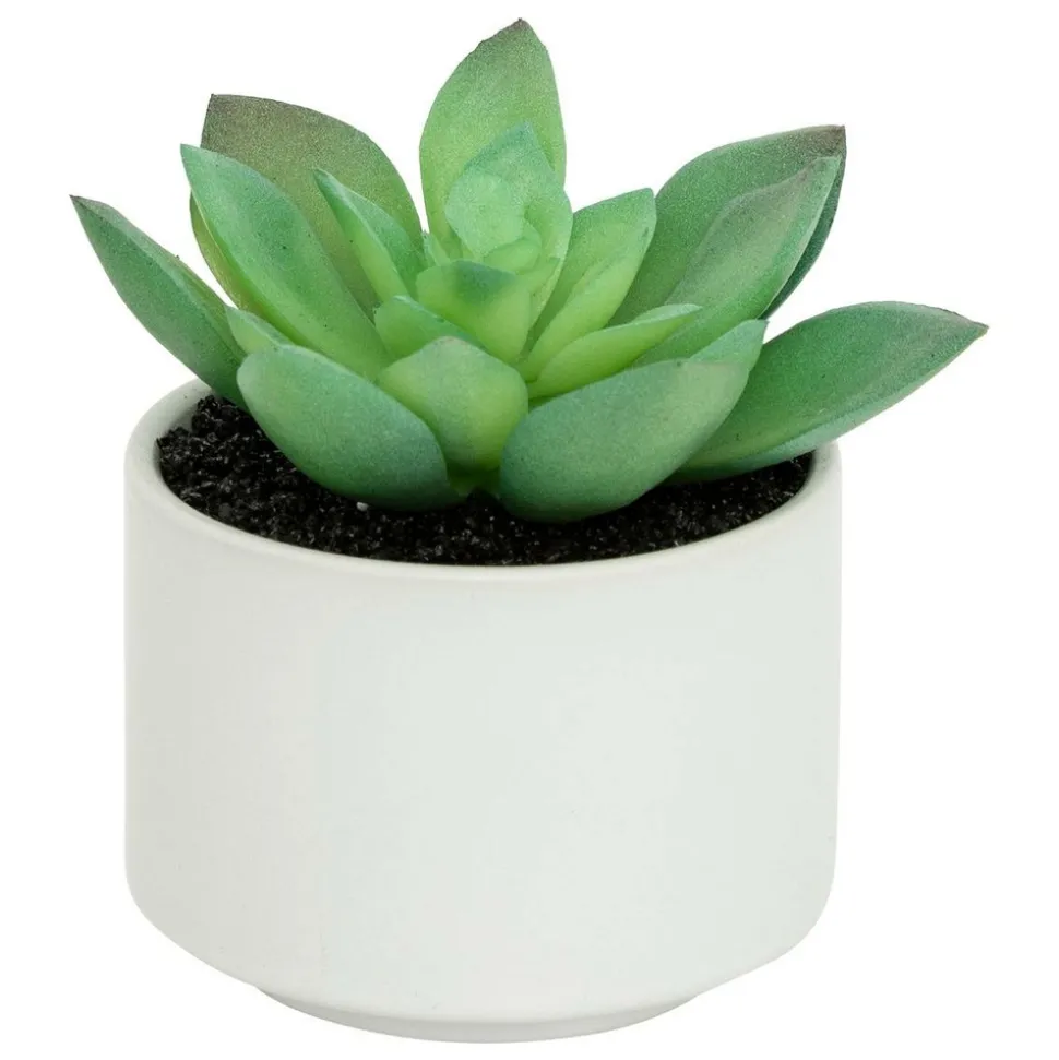 ATMOSPHERA CREATEUR D'INTERIEUR - Plante grasse en pot h13