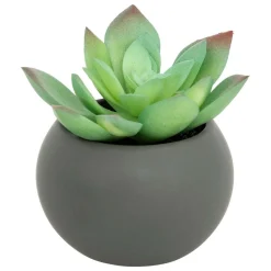 ATMOSPHERA CREATEUR D'INTERIEUR - Plante grasse en pot h13