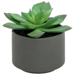 ATMOSPHERA CREATEUR D'INTERIEUR - Plante grasse en pot h13