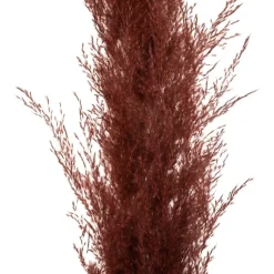 ATMOSPHERA CREATEUR D'INTERIEUR - Set de 3 fleurs séchées 