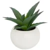 ATMOSPHERA CREATEUR D'INTERIEUR - Plante grasse en pot h13