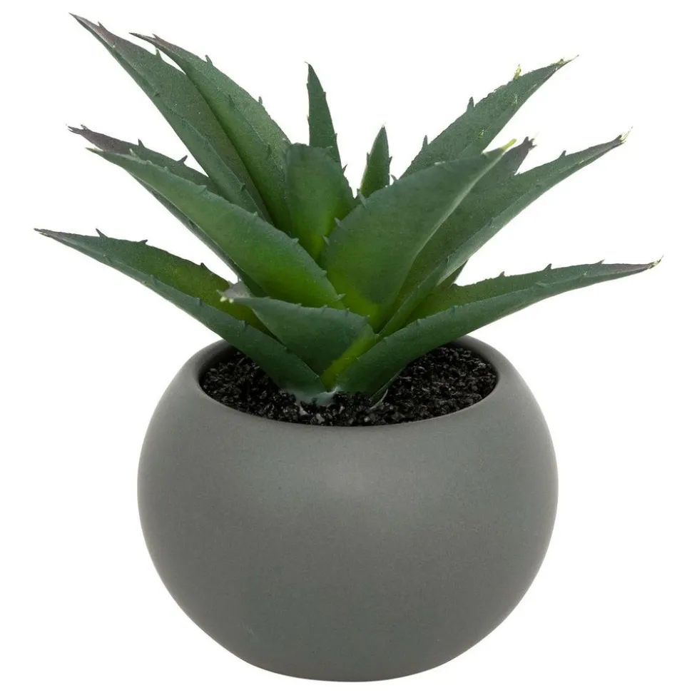 ATMOSPHERA CREATEUR D'INTERIEUR - Plante grasse en pot h13