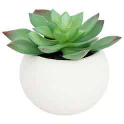 ATMOSPHERA CREATEUR D'INTERIEUR - Plante grasse en pot h13