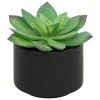 ATMOSPHERA CREATEUR D'INTERIEUR - Plante grasse en pot h13