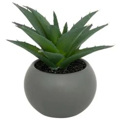 ATMOSPHERA CREATEUR D'INTERIEUR - Plante grasse en pot h13