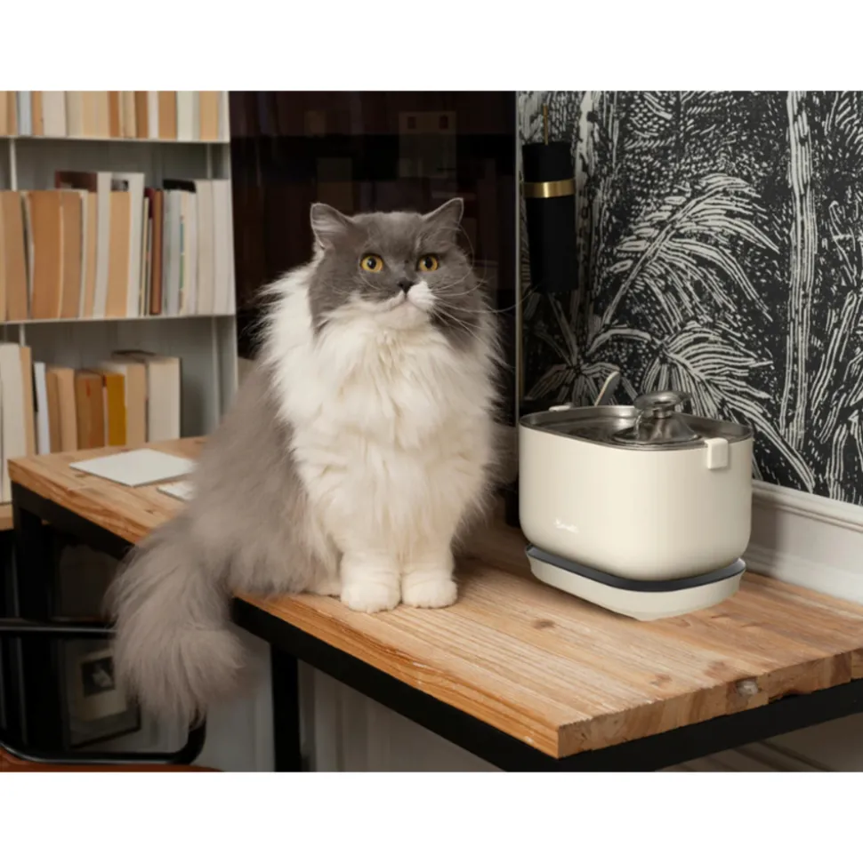 BANDIT - Fontaine à eau sans fil beige pour chat