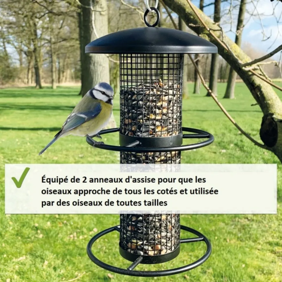 BB LOISIR - Mangeoire oiseaux extérieur à suspendre pour oiseaux sauvages pour jardin balcon distributeur de nourriture «34716 nourri-silo»