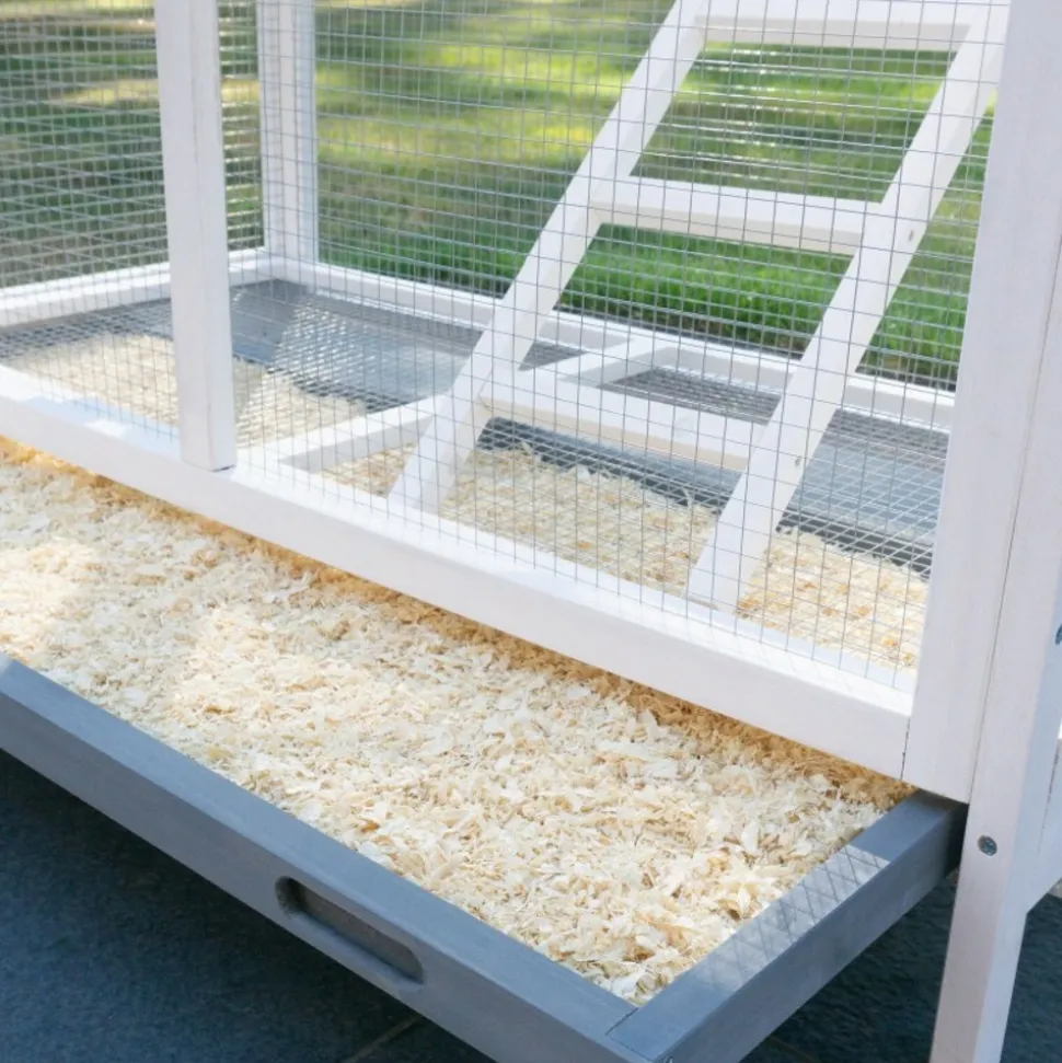 BB LOISIR - Volière cage à oiseaux en bois de haute qualité 122x58x177cm pour intérieur et extérieur –modèle « apollo xl 304 »