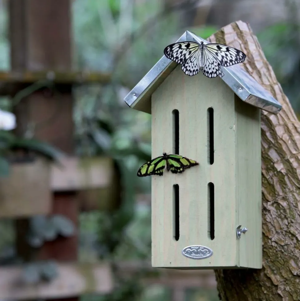 BEST FOR BIRDS - Abri pour papillons