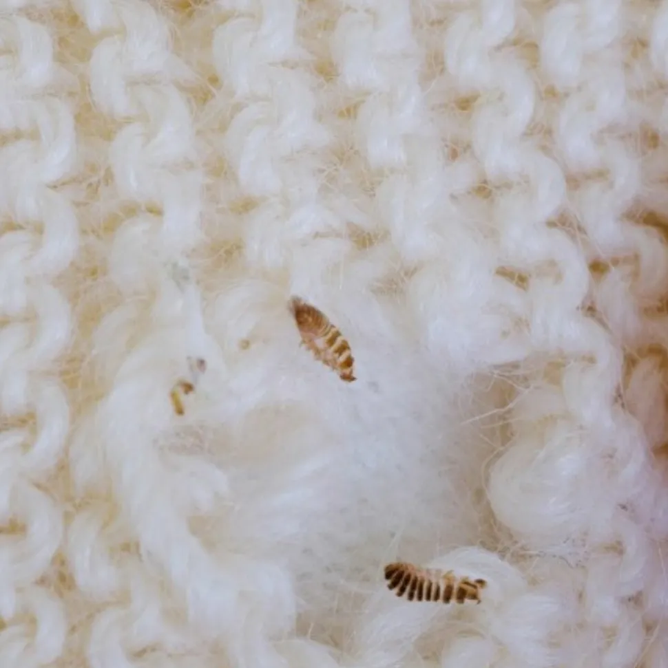 BIOTOP - Trichogrammes anti-mites des vêtements - 4 diffuseurs