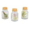 BLOOMIQUE - Lot de 3 - tillandsia en verre - plantes aériennes - plantes d’intérieur - taille 5-15 cm
