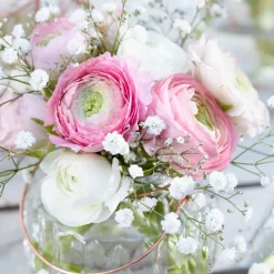 BLOOMIQUE - Mélange de 50 - renoncule - renoncule - bouton d'or - mélange de couleurs - pousse jusqu'à 30-40 cm