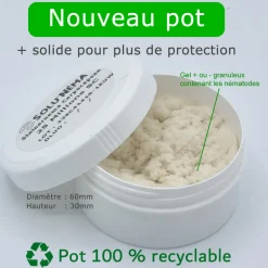 Capnode du pecher - 25 millions nématodes (sc)