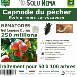 Capnode du pecher - 250 millions nématodes (sc)