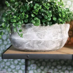 CHEMIN DE CAMPAGNE - ~ coupe ronde 