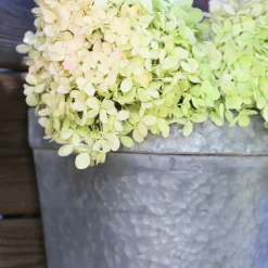 CHEMIN DE CAMPAGNE - Set2 jardinière extérieure murale porte fer forgé vintage gris 21-24cm