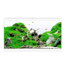 CIANO - Aquarium Ciano - 58 Litres