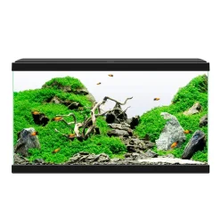 CIANO - Aquarium équipé noir - 60 litres