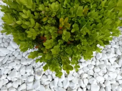 CLASSGARDEN - Galet blanc brillant 12-24 pack de 7 m² - 14 sacs - 280 kg