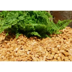 CLASSGARDEN - Gravier jaune saumon 10-15 pack de 5 m² - 20 sacs - 400 kg