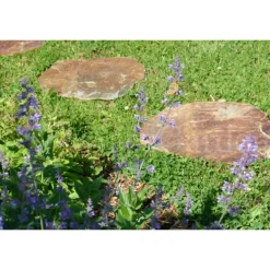 CLASSGARDEN - Pas japonais corten irrégulier - pack de 10 pièces