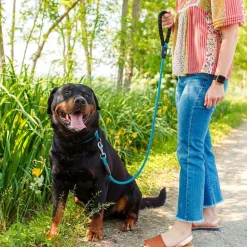 Collier semi-étranglé pour chiens sport extreme cs13/60, longe en nylon robuste, ajustable, rose-noir