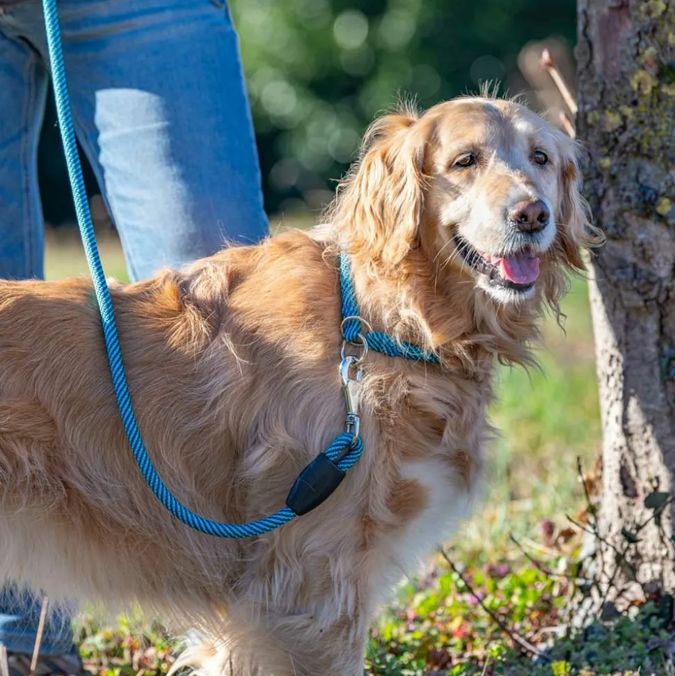 Collier semi-étranglé pour chiens sport extreme cs13/60, longe en nylon robuste, ajustable, marron-noir