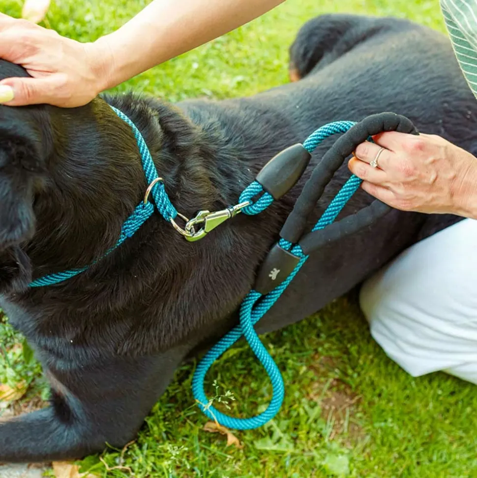 Collier semi-étranglé pour chiens sport extreme cs13/60, longe en nylon robuste, ajustable, marron-noir
