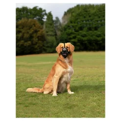 COMPANY OF ANIMALS - Muselière baskerville ultra noir (5 x 22 cm)