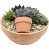 Composition de plantes succulentes en pot terre cuite : D.34cm