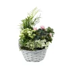 Composition Panier Fleuri : 4 plantes- Coloris variables (N2).