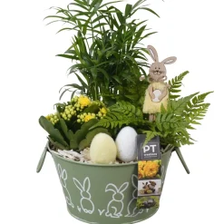 Composition plantes vertes fleuries, déco Pâques : pot D.18cm