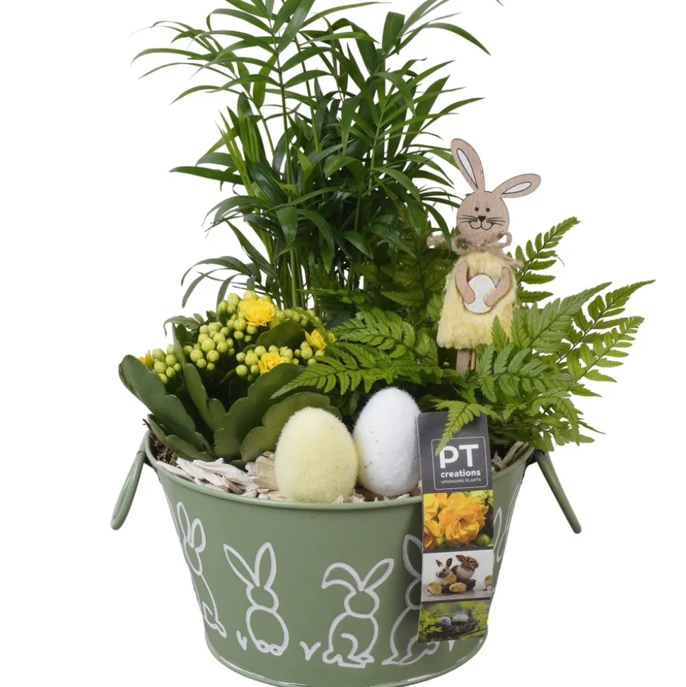 Composition plantes vertes fleuries, déco Pâques : pot D.18cm