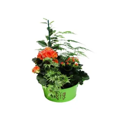 Composition pot zinc - Coloris variables