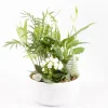 CREATION TRUFFAUT - Composition fleurie - 3 plantes - D 21cm