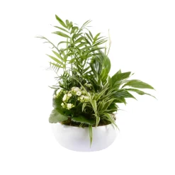 CREATION TRUFFAUT - Composition de 4 plantes : pot de D.23 cm - H. 55 cm