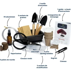 CULTIVEA - Cultivea kit bonsaï premium prêt à pousser