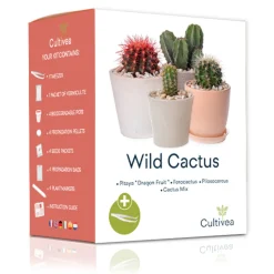 CULTIVEA - Kit Prêt à Pousser Cactus - Pitaya “Fruit du Dragon “, Ferocactus, Pilosocereus et Cactus mix - Idée Cadeau