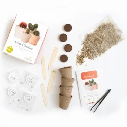 CULTIVEA - Kit Prêt à Pousser Cactus - Pitaya “Fruit du Dragon “, Ferocactus, Pilosocereus et Cactus mix - Idée Cadeau