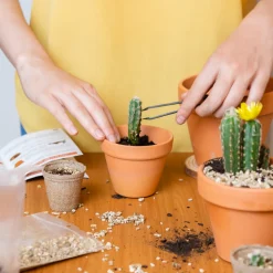 CULTIVEA - Kit Prêt à Pousser Cactus - Pitaya “Fruit du Dragon “, Ferocactus, Pilosocereus et Cactus mix - Idée Cadeau