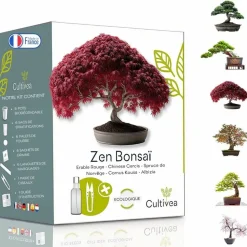 CULTIVEA - Kit prêt à Pousser 6 Bonsaïs avec accessoires - Red Mapple, Chinese Cercis, Albizia, Cornus Kousa, Norway Spruce, Juniperus