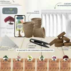 CULTIVEA - Kit prêt à Pousser 6 Bonsaïs avec accessoires - Red Mapple, Chinese Cercis, Albizia, Cornus Kousa, Norway Spruce, Juniperus