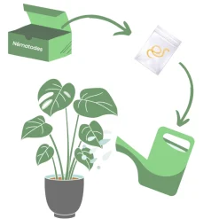 DÉCAMP' - Nématodes hb anti otiorhynques 5m - 10m²