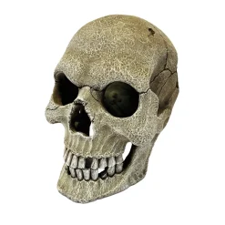 Décoration pour reptiles Repto Human Skull, crâne taille XL