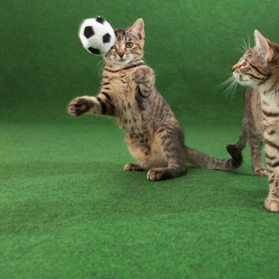 DÉCOWEB - Moquette d'extérieur verte sur plots - imitation gazon synthétique - rouleau de 4m x 22m