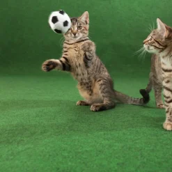 DÉCOWEB - Moquette d'extérieur verte sur plots - imitation gazon synthétique - rouleau de 4m x 39m