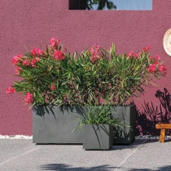 DEROMA - Bac cubo Millennium, à réserve d'eau, coloris ashgrey - L.25cm