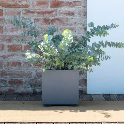 DEROMA - Bac cubo Millennium, à réserve d'eau, coloris ashgrey - L.25cm