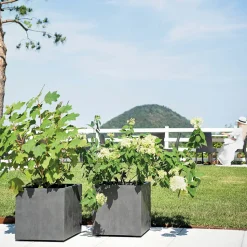 DEROMA - Bac cubo Millennium, à réserve d'eau, coloris anthracite - L.39cm